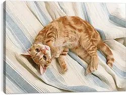 Постер на подрамнике - Рыжий кот Постер на подрамнике - Рыжий кот