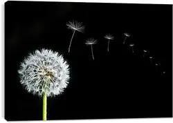 Постер на подрамнике - flowers - одуванчик Постер на подрамнике - flowers - одуванчик