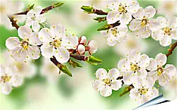 Плакат на стену - Весна
Плакат на стену - Весна