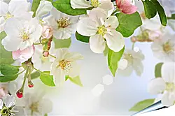 Плакат на стену - Весна Плакат на стену - Весна
