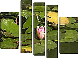 Модульная картина - Lily - Лилия
Модульная картина - Lily - Лилия