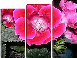 Модульная картина - Beautiful red flower - Аленький цветочек
Модульная картина - Beautiful red flower - Аленький цветочек
