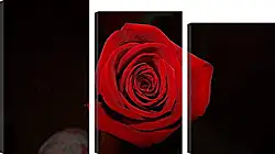 Модульная картина - Rose - Роза
Модульная картина - Rose - Роза