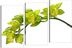 Модульная картина - Ветка
Модульная картина - Ветка