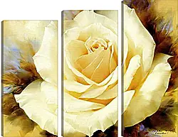 Модульная картина - One Champagne Rose
Модульная картина - One Champagne Rose