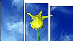 Модульная картина - Желтый тюльпан
Модульная картина - Желтый тюльпан