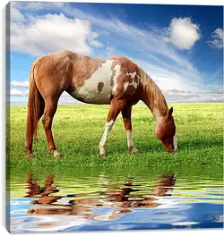 Постер на подрамнике - У водопоя
Постер на подрамнике - У водопоя