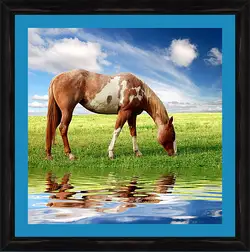 Картина в раме - У водопоя
Картина в раме - У водопоя