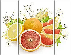 Модульная картина - Фруктовое ассорти Модульная картина - Фруктовое ассорти