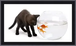 Картина в раме - Черный котик и рыбки
Картина в раме - Черный котик и рыбки