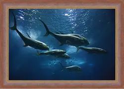 Картина в раме - Подводный мир
Картина в раме - Подводный мир