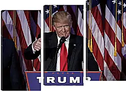 Модульная картина - Дональд Трамп Модульная картина - Дональд Трамп