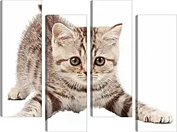 Модульная картина - Котенок Модульная картина - Котенок