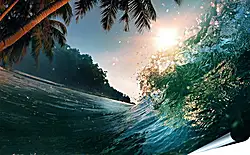 Плакат на стену - Пальмы над водой Плакат на стену - Пальмы над водой