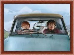 Картина в раме - Harry Potter and the Chamber of Secrets Картина в раме - Harry Potter and the Chamber of Secrets