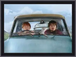 Картина в раме - Harry Potter and the Chamber of Secrets Картина в раме - Harry Potter and the Chamber of Secrets