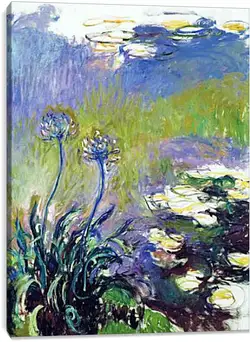 Постер на подрамнике - Agapanthus Постер на подрамнике - Agapanthus