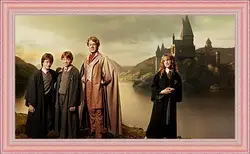 Картина в раме - Harry Potter Картина в раме - Harry Potter