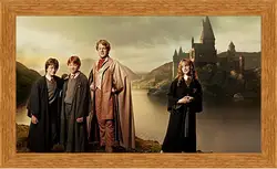 Картина в раме - Harry Potter Картина в раме - Harry Potter