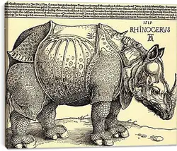 Постер на подрамнике - Rhinoceros. Альбрехт Дюрер
Постер на подрамнике - Rhinoceros. Альбрехт Дюрер