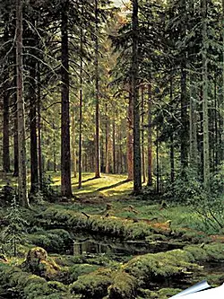 Плакат на стену - Хвойный лес. Солнечный день. Иван Шишкин
Плакат на стену - Хвойный лес. Солнечный день. Иван Шишкин