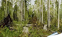 Плакат на стену - Сосновый лес. Иван Шишкин
Плакат на стену - Сосновый лес. Иван Шишкин