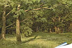 Плакат на стену - Лесная поляна. Иван Шишкин
Плакат на стену - Лесная поляна. Иван Шишкин