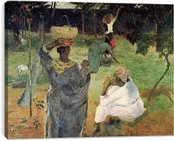 Постер на подрамнике - Fruit Picking, or Mangoes Постер на подрамнике - Fruit Picking, or Mangoes