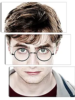 Модульная картина - Harry Модульная картина - Harry
