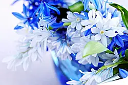 Плакат на стену - Весенний цвет Плакат на стену - Весенний цвет