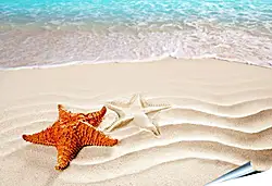 Плакат на стену - Морская звезда Плакат на стену - Морская звезда