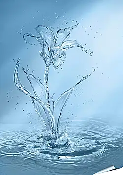 Плакат на стену - Цветок из воды Плакат на стену - Цветок из воды