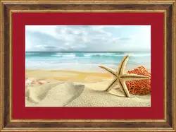 Картина в раме - Морская звезда Картина в раме - Морская звезда