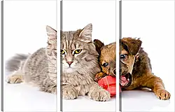 Модульная картина - Котенок и щенок Модульная картина - Котенок и щенок