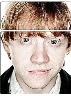 Модульная картина - Ron Weasley Модульная картина - Ron Weasley