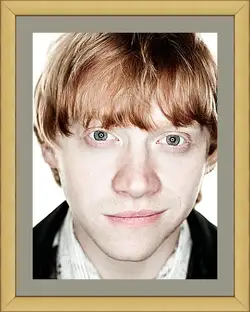 Картина в раме - Ron Weasley Картина в раме - Ron Weasley
