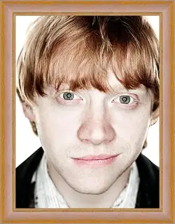 Картина в раме - Ron Weasley Картина в раме - Ron Weasley