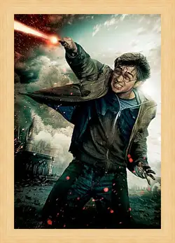 Картина в раме - Гарри Поттер и Дары Смерти Картина в раме - Гарри Поттер и Дары Смерти