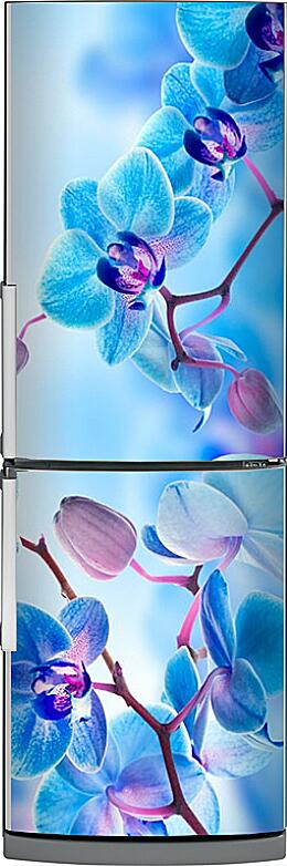 Магнитная панель на холодильник - Голубые орхидеи