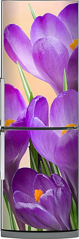 Магнитная панель на холодильник - Фиолетовые тюльпаны