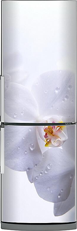 Магнитная панель на холодильник - Вишня в цвету
