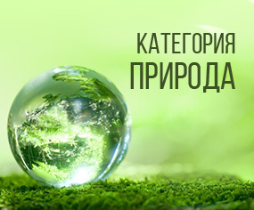 Категория природа